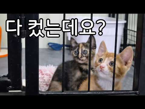 저희도 이제 큰 물에서 놀 때 됐지 않슴까!
