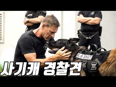 하필이면 조용히 지내던 《경찰견》을 건드린 조직의 최후..ㄷㄷ [영화리뷰/결말포함]