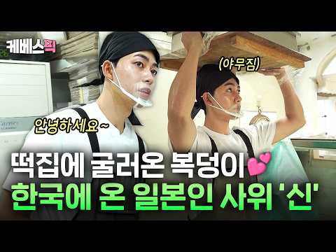 뉘 집 사위가 이렇게 훤칠하고 일도 잘해?🌟 한국 떡집에 굴러들어 온 복덩이 일본 사위💕 #인간극장ㅣKBS 방송