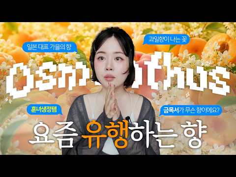 요즘 유행하는 "금목서" 향 제품 5가지 리뷰🌼🌼🌼 (ft.오스만투스&아브리코🍑) 바디로션~워시~향수추천❕더보기 가득💬 #향수리뷰 #Osmanthus