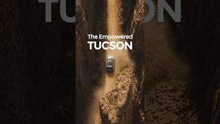 The Empowered, TUCSON | Memory Reversing Assist 편