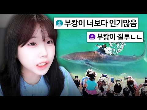 국내최초 부캉이 인기 질투하는 사람