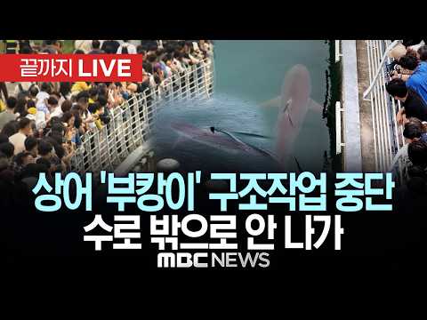 상어 '부캉이' 구조작업 중단 ..수로 밖으로 안 나가 - [끝까지LIVE] MBC중계방송 2026년 09월 29일