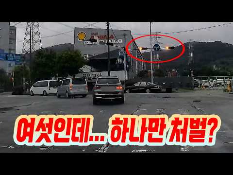 28112회. 사거리에서 빨간 불에 줄줄이 신호 위반 좌회전하는 차들을 목격했습니다! 공익 신고를 했더니 그 결과가