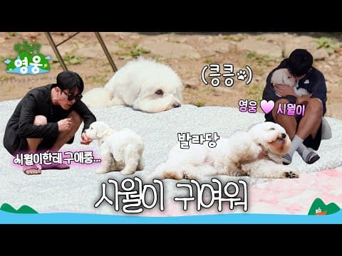 꼬순내 폴폴나는 형 바라기 시월이🐶 #산골총각영웅