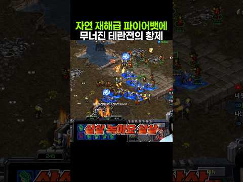 자연 재해급 파이어뱃 러쉬에 무너진 테란전의 황제