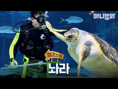 [정ZOO행] 하지마 하지 하지 하지마 | EP.47 #동물농장 #animalfarm