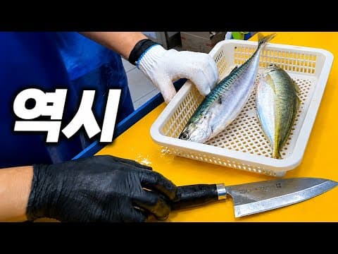 횟집 브이로그｜전갱이·고등어 손질부터 회뜨기까지 Aji & Mackerel