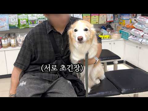 강아지랑 오래 살면 이렇게 됩니다 (증거 찾음)