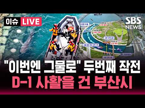 [🔴이슈] "이번엔 그물로" 두 번째 작전..D-1 '부캉아 안녕' 사활을 건 부산시 / SBS 이슈라이브
