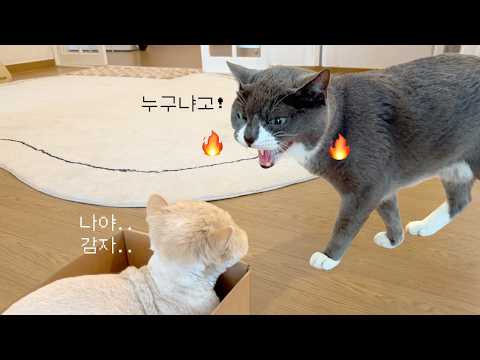 6개월마다 매번 리셋되는 이들의 관계
