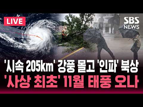 "이제 곧 11월인데 태풍?".. '시속 205km' 강풍 몰고 '인파' 북상.. 역사상 가장 늦은 태풍 될까 / SBS 실시간 라이브