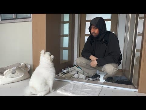 모르는 외국인이 집에 왔을때 전혀 예상 못한 강아지 반응