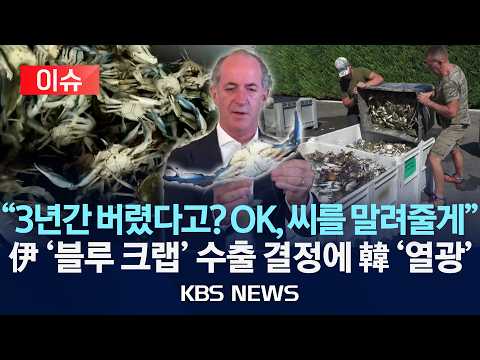 [🔴이슈] 이탈리아 침입종 ‘블루 크랩’…“새로운 수출 주력 품목 등극"/2026년 9월 4일(금)/KBS