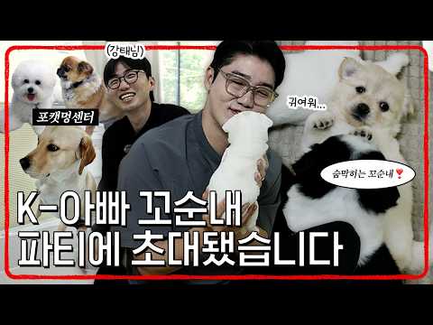 설쌤, 포캣멍센터 방문 후 아기 강아지 중독되다?! 🐶 | 설채현 행동학 수의사
