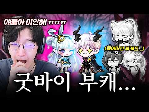 최강 제로를 위해.. 모든 부캐 정리합니다.. [메이플스토리]