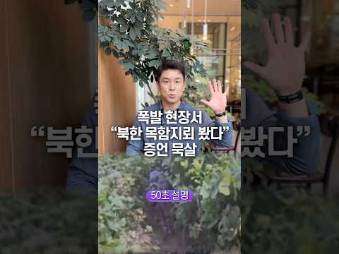 폭발 현장서 “북한 목함지뢰 봤다” 증언 묵살, 50초 안에 설명하기