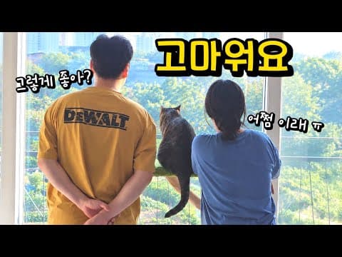 이사하길 너무 잘했다ㅠ 온몸으로 좋다고 표현하는 고양이의 뭉클한 행동