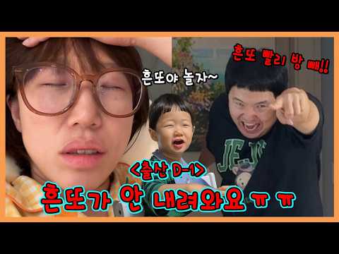 흔또가 안 내려와요...과연 무사히 자연분만 할수있을지....