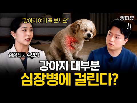 늦으면 큰일 나는 강아지 심장병 (집에서 이 신호를 절대 놓치지 마세요) | 멍터뷰 ep.97