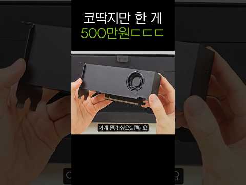 그래픽카드 오른다 오른다 하니까 여기까지 오르네;;; #그래픽카드 #메모리