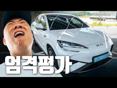 현대차 팔고 선택했다는 BYD