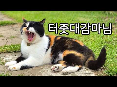 까칠한 이모는 심사기준이 까다롭단다