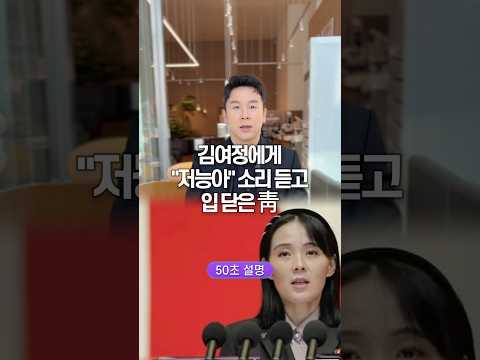 김여정에게 “저능아” 소리 듣고 입닫은 청, 50초 안에 설명하기