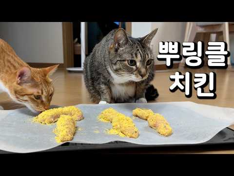 치킨 사업 시작했습니다