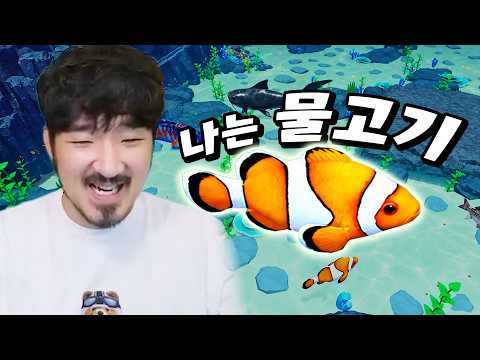 이것은 작은 니모가 바다의 왕이 될때까지의 이야기다