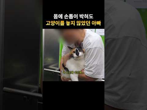 고양이를 끝까지 놓치 않았던 아빠