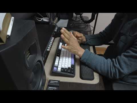 노인 일자리 길고양이 모니터링 활동가 사업의 실체