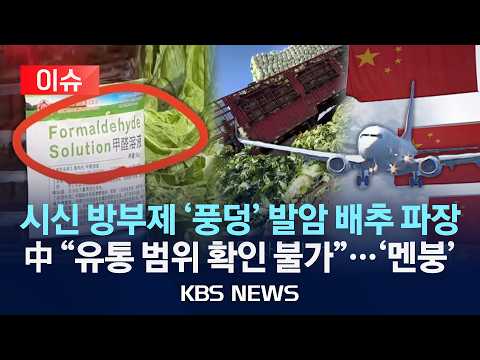 [🔴이슈] '시신 방부제' 푹 담근 발암 배추 파장 / 中 "유통 범위 확인 불가"...한국도 들어왔나 '멘붕'/2026년 8월 24일(월)/KBS