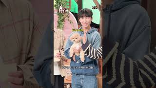 동물농장에 나타난 초특급 신인 한솔X토리🐶💕 천재견 토리의 데뷔 무대(?) 이번 주 놓치지 마세요! | TV 동물농장 | SBS