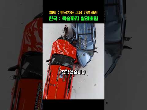 한국 자동차를 타고 대형사고를 당한 영국 여배우가 기아로 이름까지 바꾸겠다고 난리난 이유