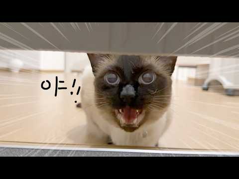 화장실 문틈으로 내려다봤더니ㅋㅋ 깜놀ㅋㅋㅋㅋㅋ