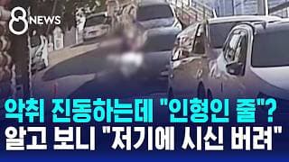 악취 진동하는데 "인형인 줄"?..알고 보니 "저기에 시신 버려" 충격 / SBS 8뉴스