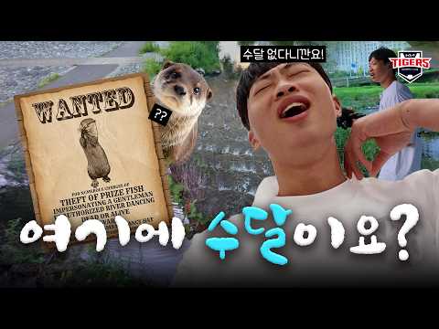광주천에 직접 수달 찾으러 갔습니다