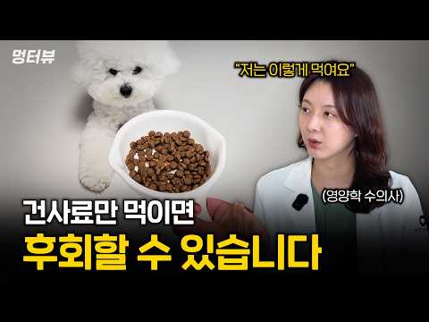 설마 강아지 사료만 먹이세요? 영양학 수의사가 딱 알려드립니다 | 멍터뷰 ep.95