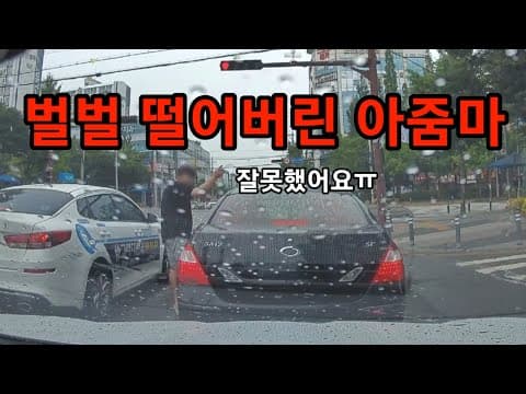 구라쟁이 아줌마 참교육.....도참시 블랙박스 : 2026 최신블박영상