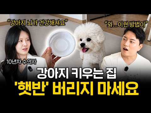 강아지 키우면 '햇반'을 활용해 보세요 (20살넘게 뇌가 건강해져 노화가 늦춰집니다) | 멍터뷰ep.113