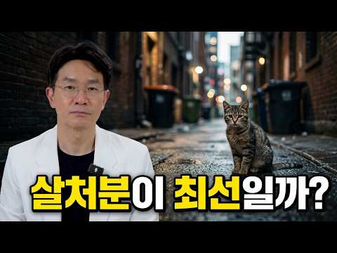국회 청원까지 간 '길고양이 살처분', 정말 답일까요?