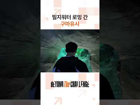 피즈 갱을 조심해