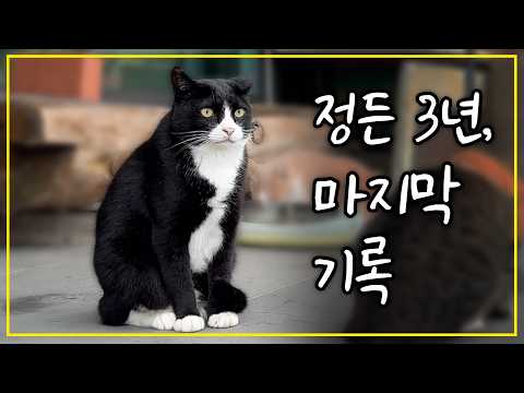 정들었던 3년의 마지막 기록, 실종 직전 영상을 공개합니다