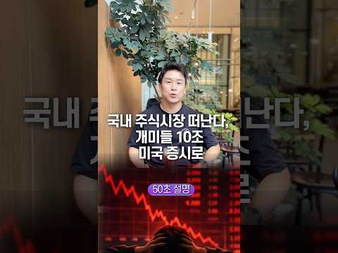 국내 주식시장 떠난다, 개미들 10조 미국 증시로… 50초 안에 설명하기