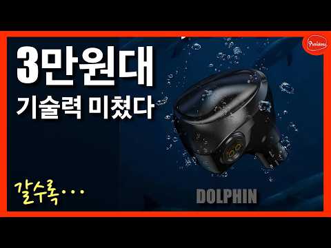 TRN Dolphin 리뷰｜3만원대에서 보기 드문 완성도 | 이가격에 왜 고급스러워? [공동구매 포함]