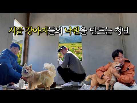 시골 똥개들을 위해 살다보니 여기까지 왔네요..😂