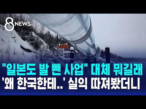 "일본도 발 뺀 사업" 대체 뭐길래..'왜 한국한테' 실익 따져봤더니 / SBS 8뉴스