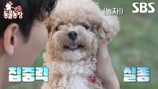 [예고] 찰떡 호흡을 자랑하던 환상의 콤비 한솔X토리✨ 예상치 못한 엇박자 위기 속 이들의 무대는?! | TV 동물농장 | SBS