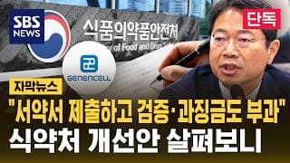 [단독] "서약서 제출하고 검증·과징금도 부과"..식약처 개선안 살펴보니 (자막뉴스) / SBS
